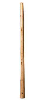 Wix Stix Didgeridoo (WS167)